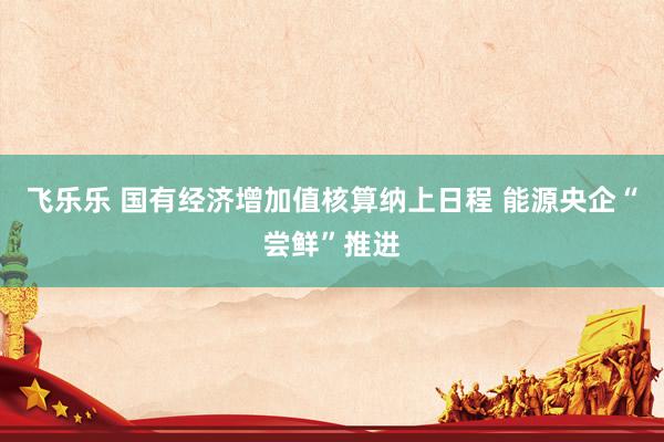 飞乐乐 国有经济增加值核算纳上日程 能源央企“尝鲜”推进