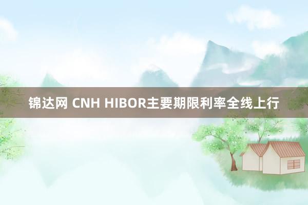 锦达网 CNH HIBOR主要期限利率全线上行
