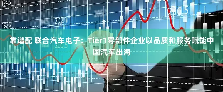 靠谱配 联合汽车电子：Tier1零部件企业以品质和服务赋能中国汽车出海
